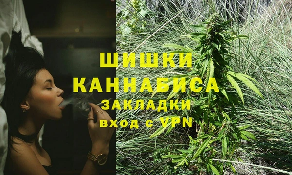 ALPHA PVP Ельня