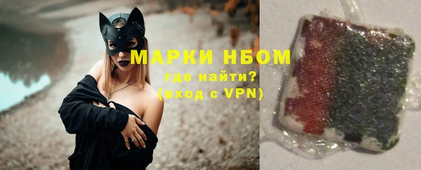 ALPHA PVP Ельня