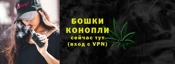 ALPHA PVP Ельня