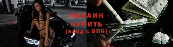 ALPHA PVP Ельня