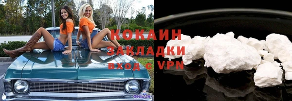 ALPHA PVP Ельня