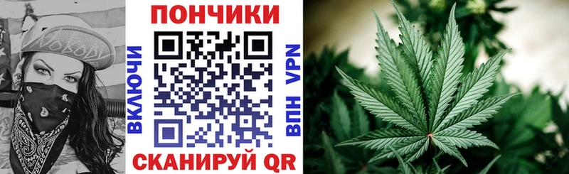 Бошки марихуана индика  наркотики  Димитровград 